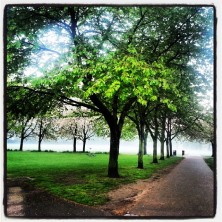 Con un po' di ritardo #buonapasqua amici di #vivilondon #london #londra #londonlife #buongiorno #cold #fog #park #trees