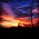 Tramonto a #hollandpark praticamente un #quadro a #londra #london #photosofengland #today #sky #sunset #colors