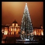 #norwegian #christmas #tree in #trafalgarsquare #christmastree #nationalmuseumgallery #nationalgallery #london #londra #trafalgar #star #square #photosofengland #lights